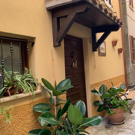 B&B Casa Di Carla Ripatransone Bagian luar foto